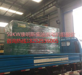 50kVA康明斯静音发电机组 外贸出口与工厂备用电源的专业之选